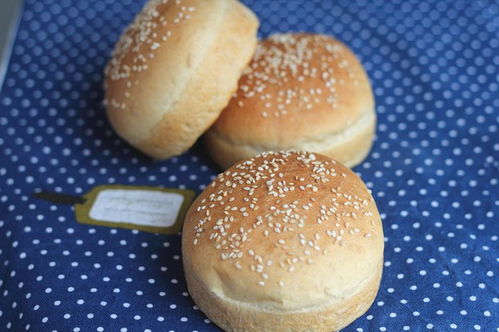 營養早餐 胚芽漢堡的做法,胚芽漢堡坯 熱狗坯如何做好吃詳細步驟圖解 精品主食