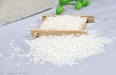 大米米樂鼠稻花香