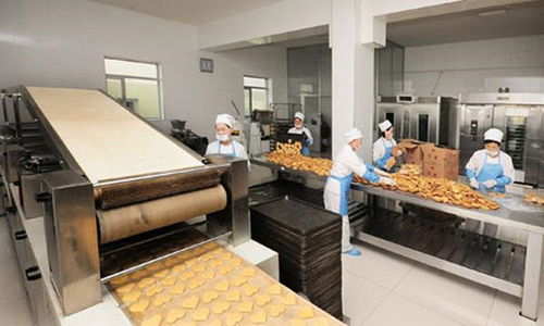 食品廠生產車間內墻墻面材料選材大全